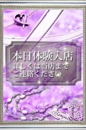 ノア（NOA）