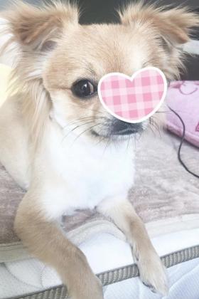 七瀬美友